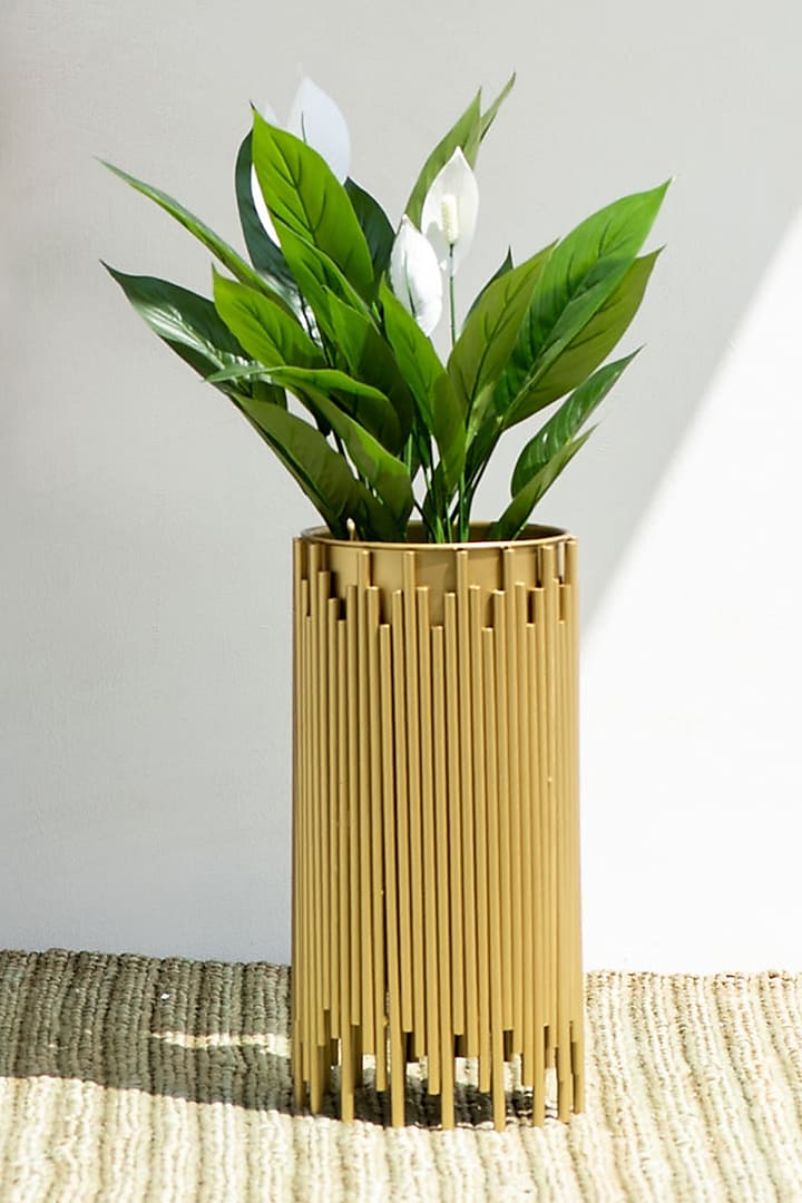 Golden Planter With Zinc Coat by The Decor Remedy