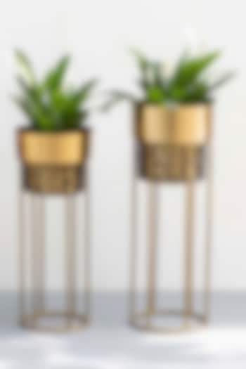 Gold & Black Planters (Set of 2) by The Decor Remedy