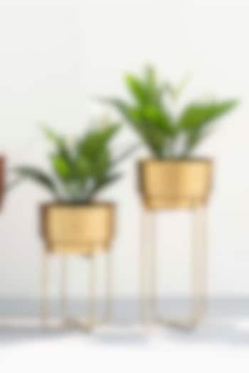 Yellow Gold Planters (Set of 2) by The Decor Remedy