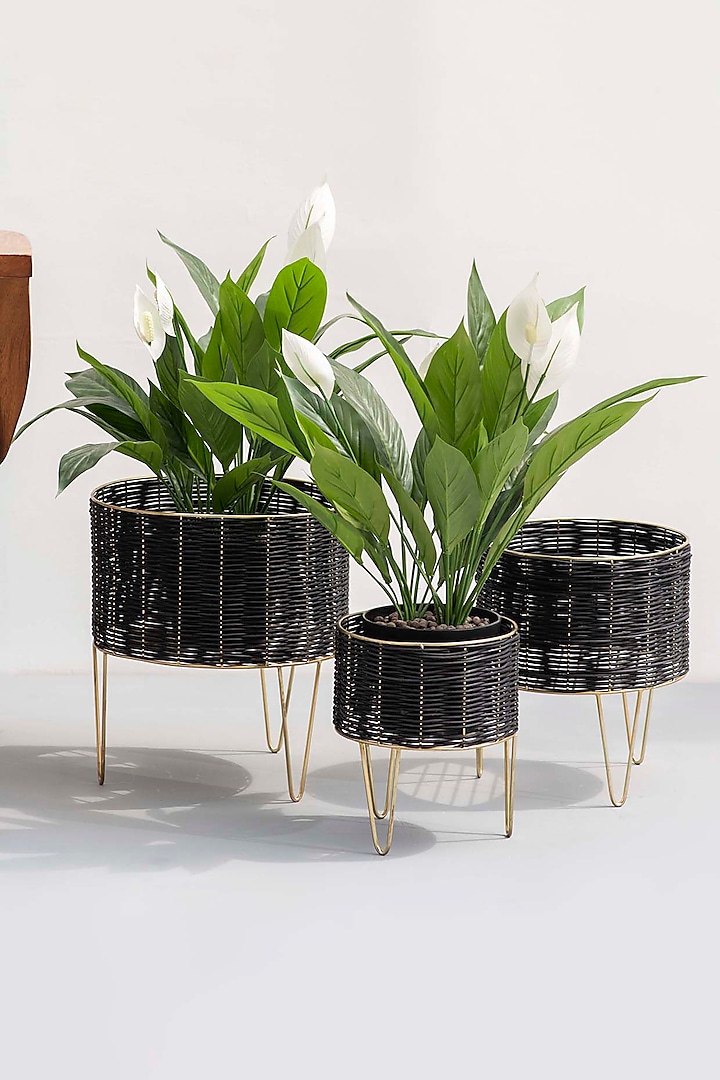 Black & Gold Textures Planters (Set of 3) by The Decor Remedy