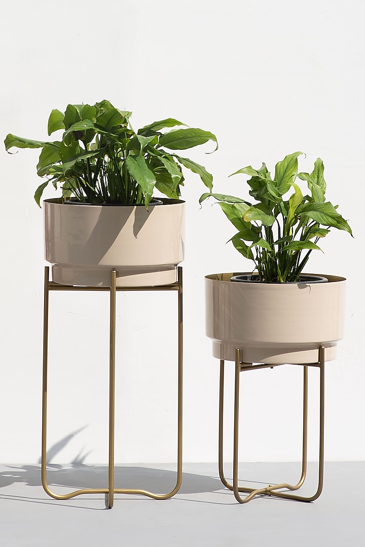 Nude & Beige Planters (Set of 2) by The Decor Remedy