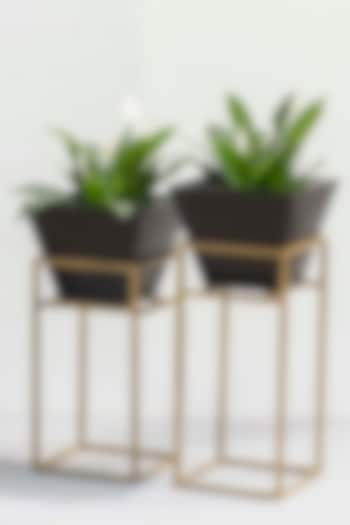 Grey & Gold Planters (Set of 2) by The Decor Remedy