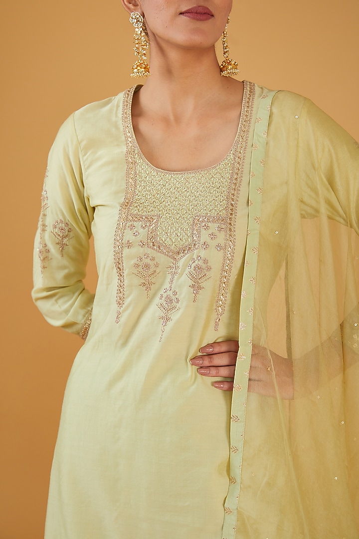 Pista Green Silk Blend Zari Embroidered Kurta Set by Aharin India at Pernia's Pop Up Shop