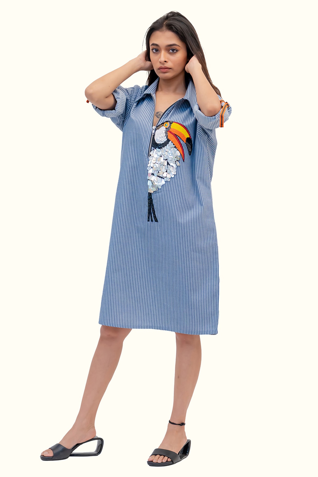 Richaa Goenka Blue & White Cotton Embroidered Striped Dress