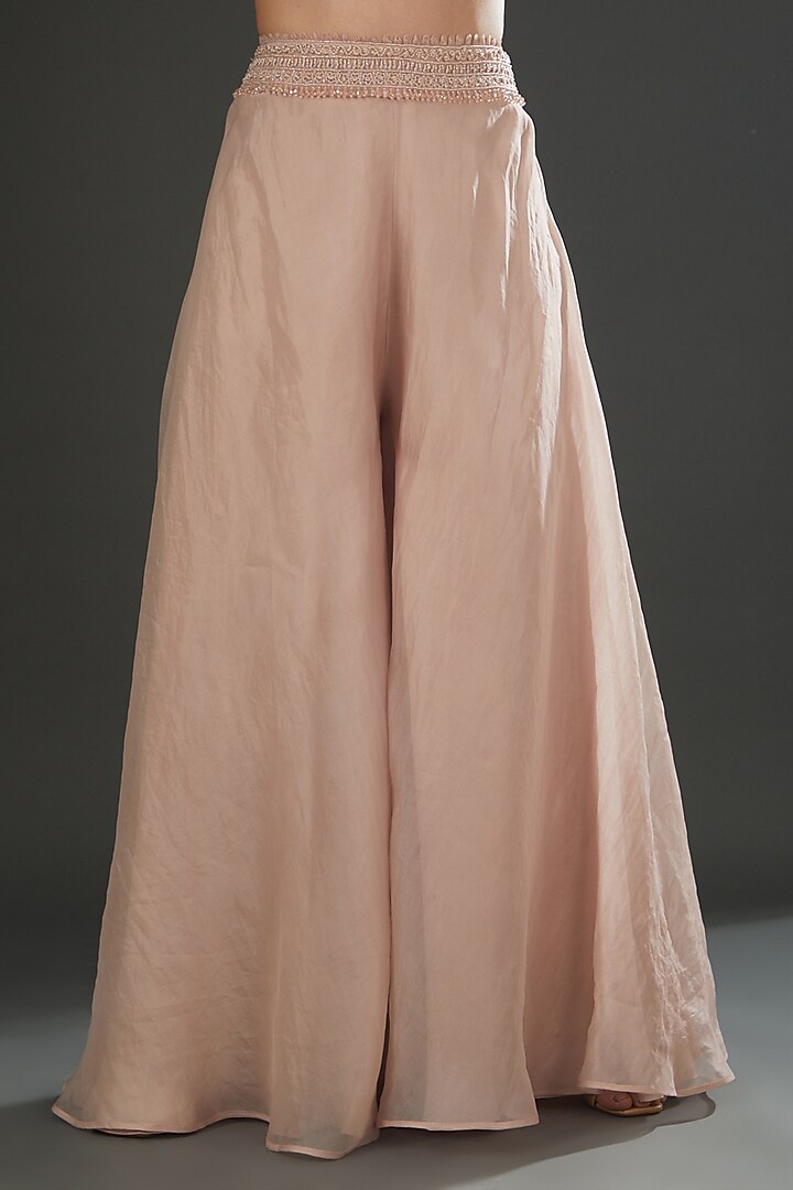 Blush Pink Organza Jacket Set by Ridhima Bhasin at Pernia's Pop Up Shop