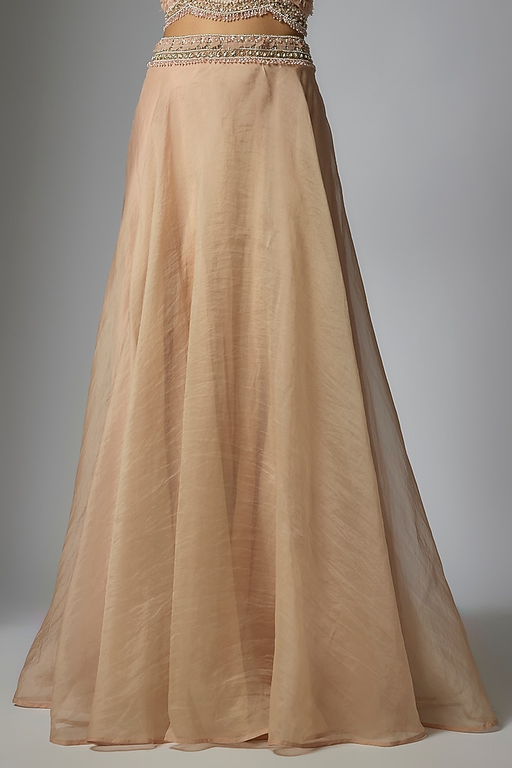 Blush Pink Pure Organza Jacket Set by Ridhima Bhasin at Pernia's Pop Up Shop