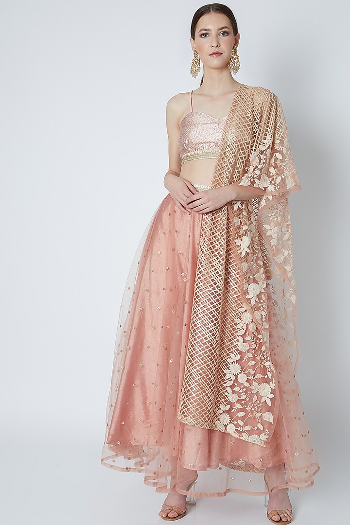Blush Pink Embroidered Lehenga Set by Rishi & Vibhuti
