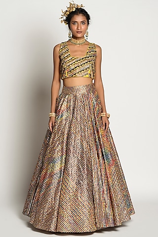 Multi Colored Dupion & Silk Skirt Set by Rishi & Vibhuti