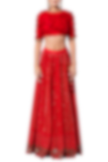Red Lucknowi Embroidered Lehenga Set by Rocky Star