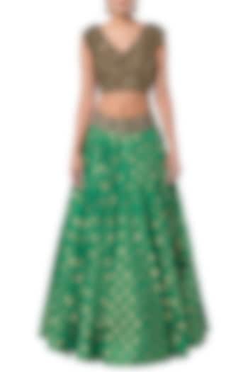 Green embroidered crop top with lehenga skirt by Rocky Star