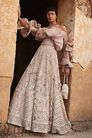 Champagne Net Embroidered Lehenga Set by Ridhi Mehra
