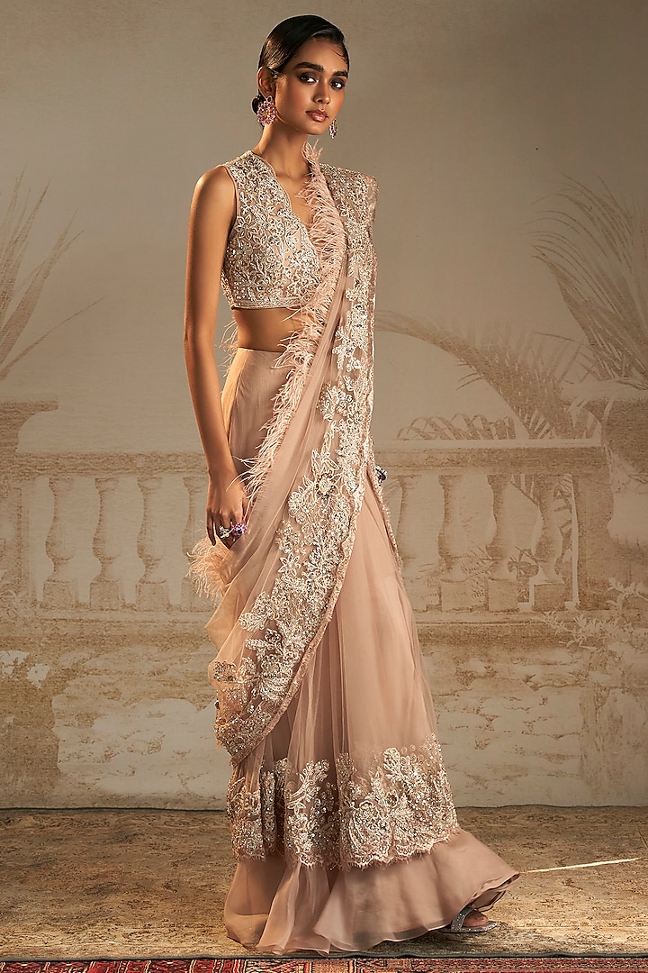 Champagne Net Feather Embellished Saree Set by Ridhi Mehra