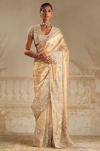 Buy Transparent Saree for Women Online from India's Luxury Designers 2024