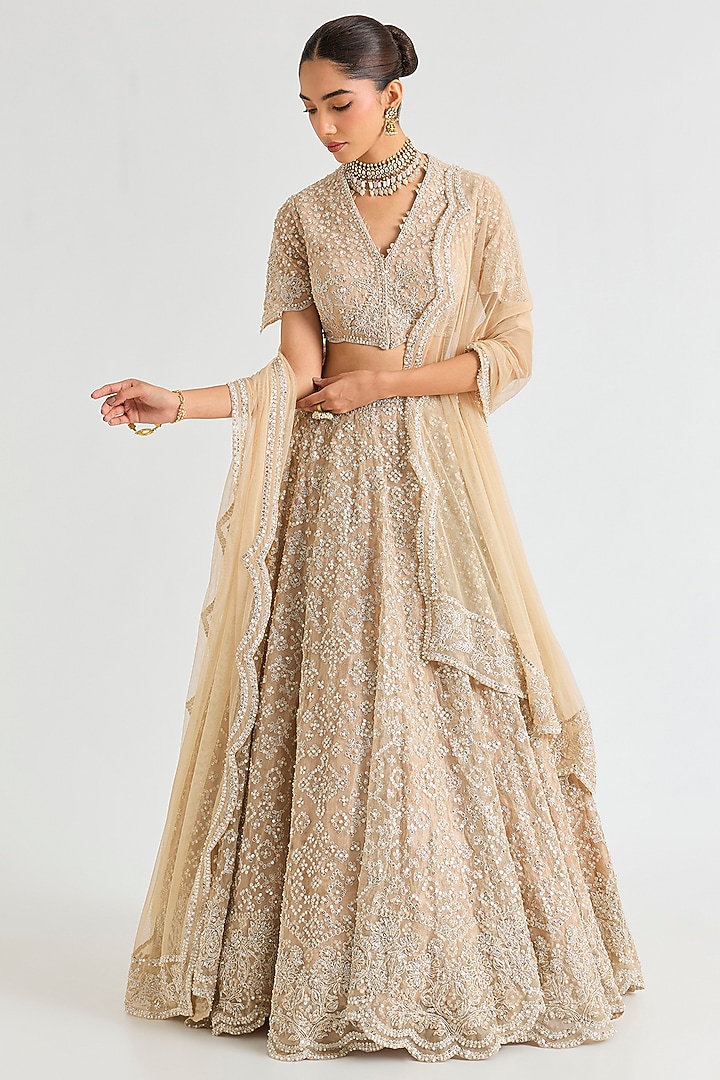 Gunmetal Tissue Embroidered Bridal lehenga for 22 Lehenga Set by Ridhi Mehra at Pernia's Pop Up Shop