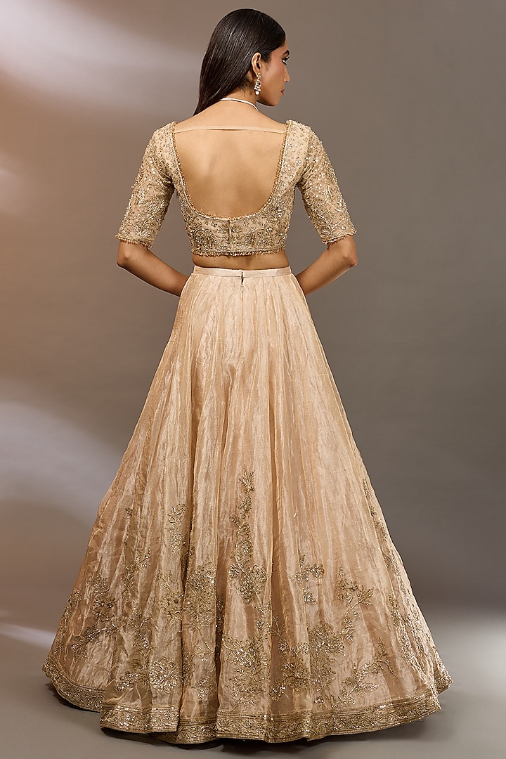 Padmika Royale Embroidered Tissue Silk Lehenga Set