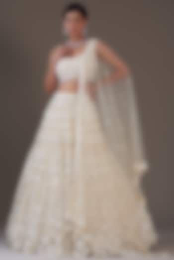Ivory Net Embroidered Lehenga Set by ROQA