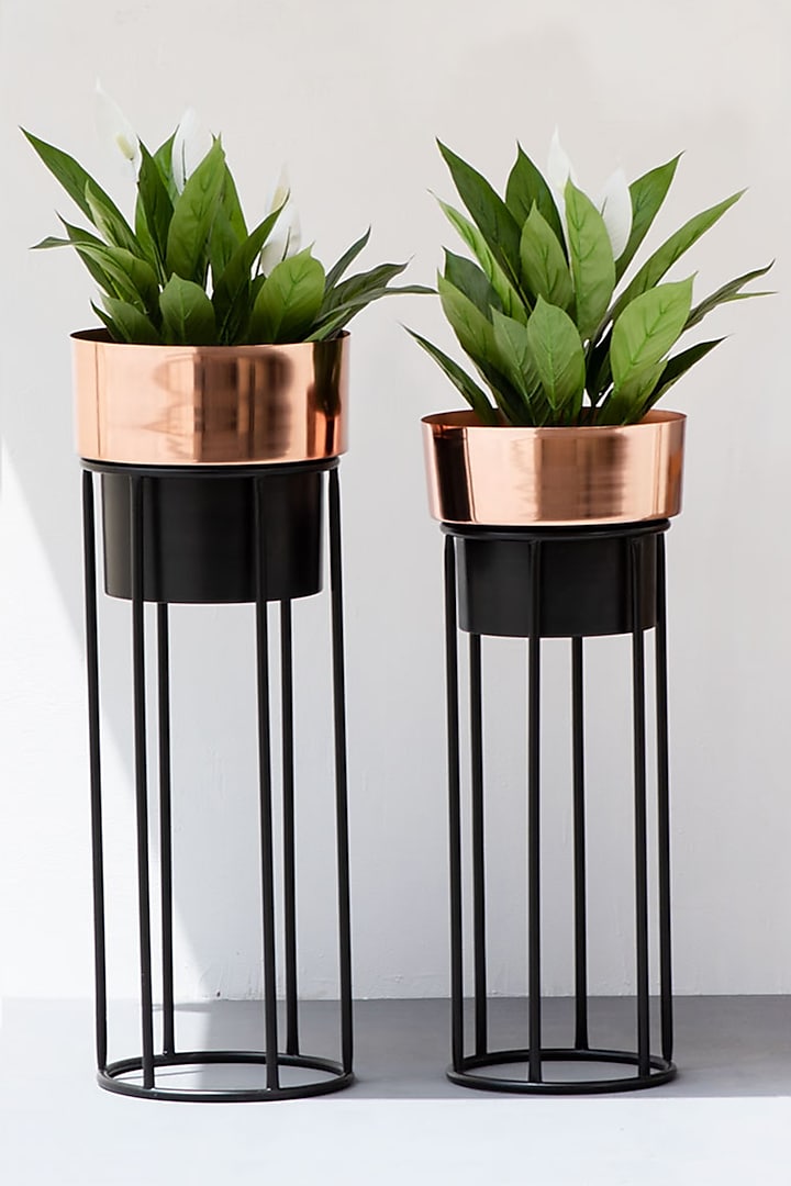 Hand Finished Rose Gold & Black Iron Planter (Set of 2) by The Decor Remedy