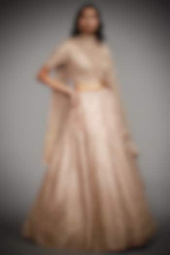 Beige Hand Embroidered Lehenga Set by Ri Ritu Kumar