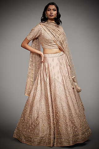 Beige Hand Embroidered Lehenga Set by Ri Ritu Kumar