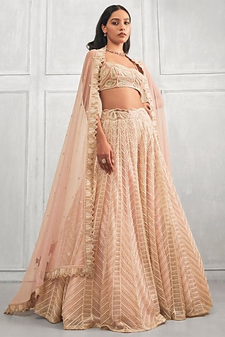 Blush Pink Crepe Silk & Net Embroidered Lehenga Set by Ritika Mirchandani