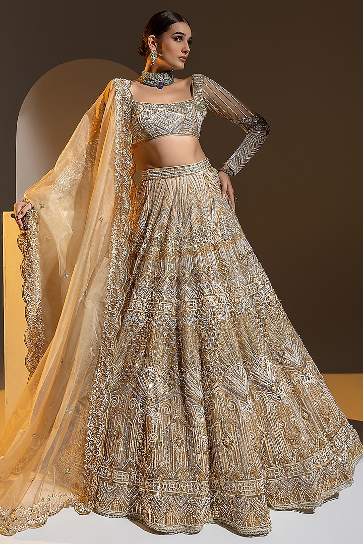 Beige Net 3D Embroidered Lehenga Set by Ruchika Hurria