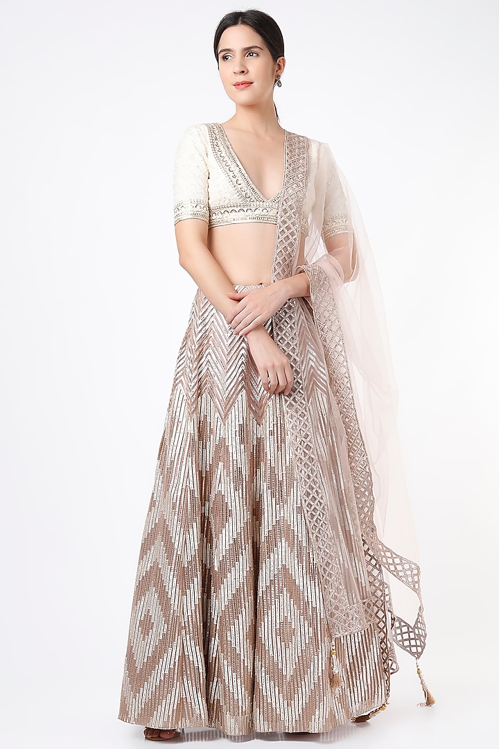 Beige Embroidered Lehenga Set by The Royaleum Atelier