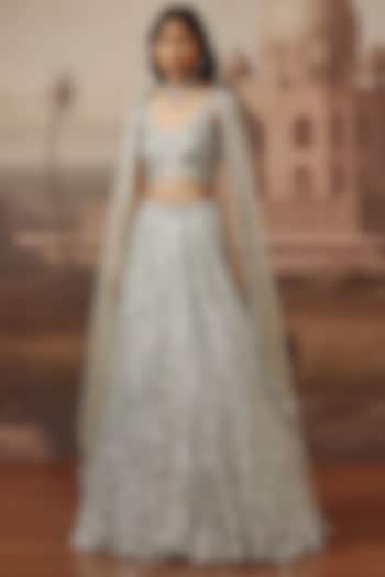 Greenish Grey Net Swarovski Embroidered Bridal Lehenga Set by SABE at Pernia's Pop Up Shop