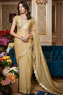 Tea Green Embroidered Saree Set by Sahil Kochhar-TRADITIONAL SIX YARDS