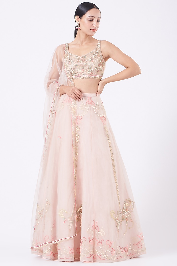 Soft Pink Hand Embroidered Lehenga Set by Salt and Spring