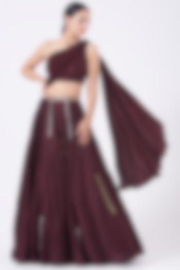 Wine Embroidered Flared Lehenga Set by Salt and Spring