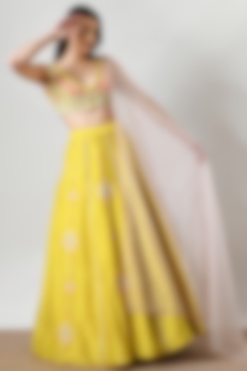 Yellow Chanderi Hand Embroidered Lehenga Set by Salt and Spring