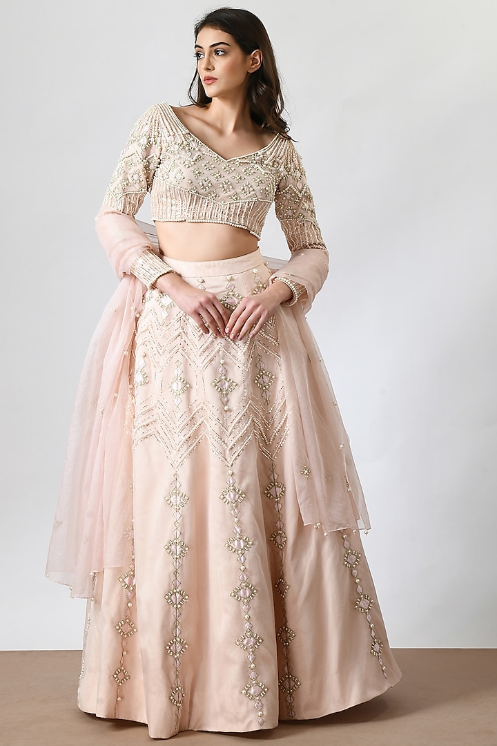 Nude Pink Organza Hand Embroidered Lehenga Set by Salt and Spring