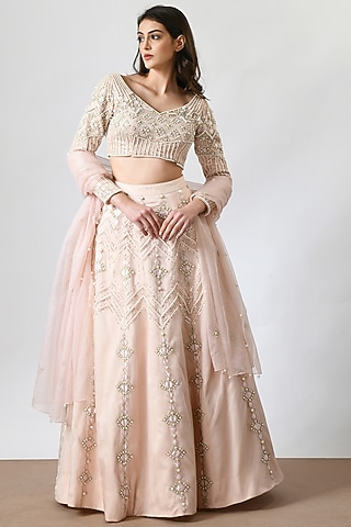 Nude Pink Organza Mukaish Hand Embroidered Lehenga Set by Salt and Spring
