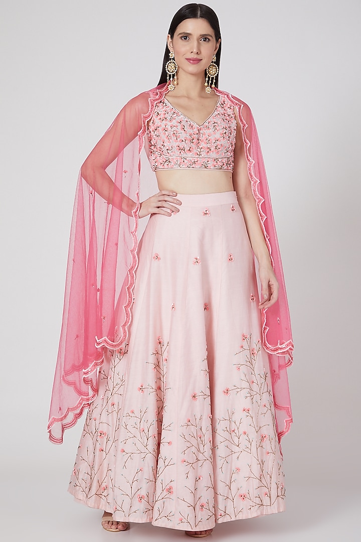 Blush Pink Sequins Hand Embroidered Lehenga Set by Salt and Spring