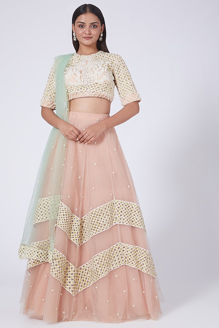 Blush Pink Embroidered Lehenga Set by Salt and Spring