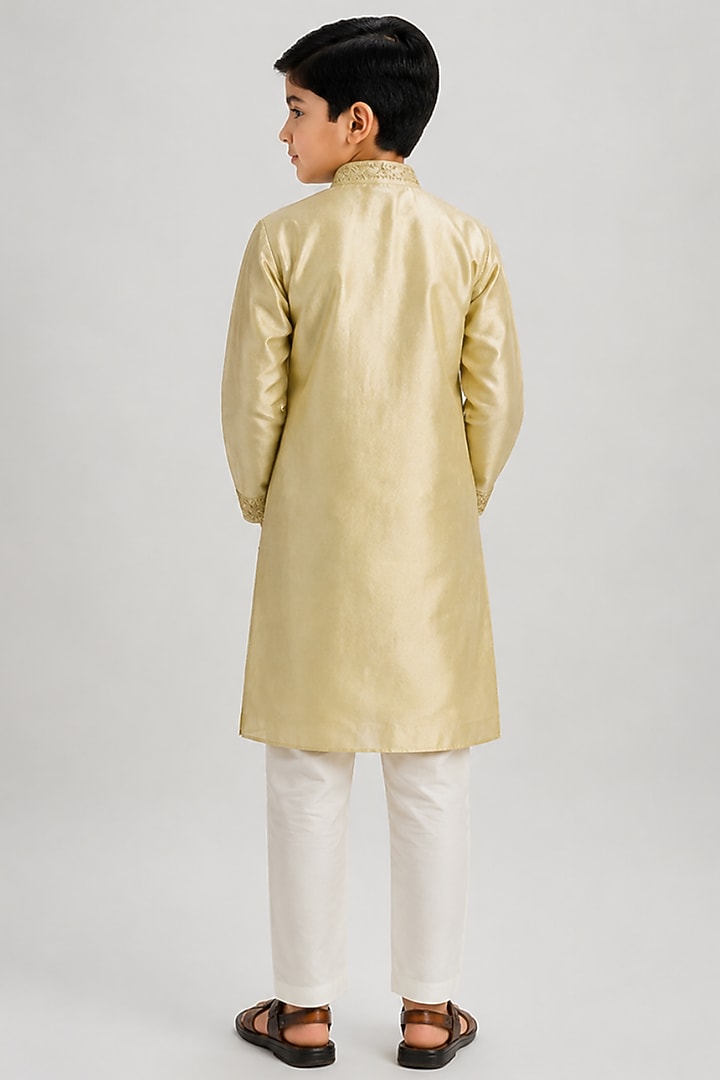 Beige Tussar Resham Embroidered Kurta Set For Boys by Sammohan Kids at Pernia's Pop Up Shop