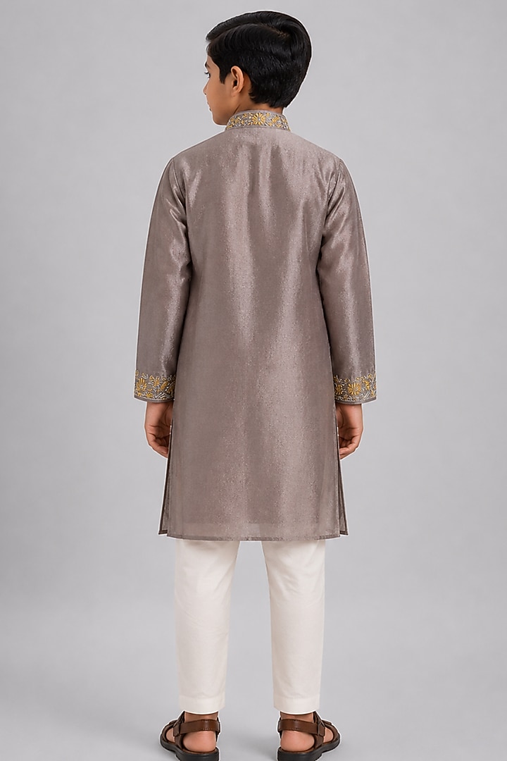 Grey Tussar Resham Embroidered Kurta Set For Boys by Sammohan Kids at Pernia's Pop Up Shop