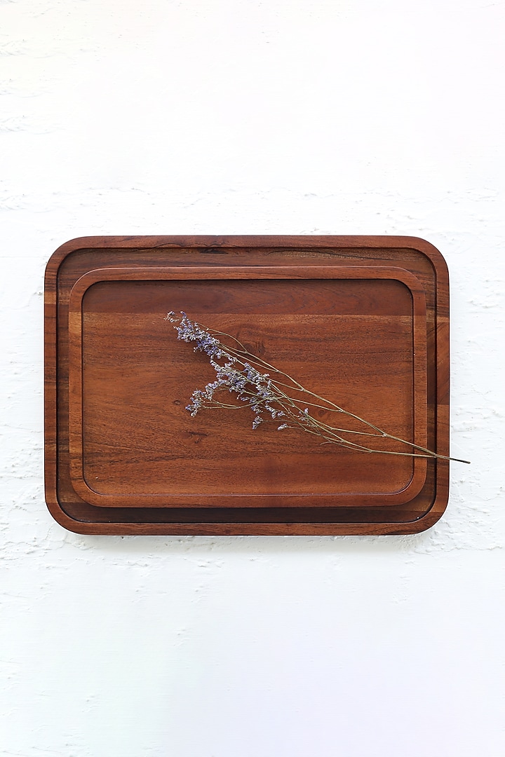 Walnut Polished Mango Wood Serving Platter (Set of 2) by Sashays
