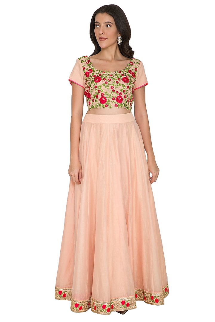 Blush Pink Embroidered Blouse With Skirt by Shalini Dokania