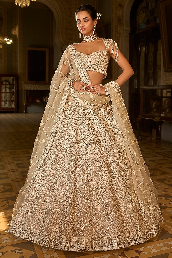 Dark Beige Net Sequins & Dori Embroidered Bridal Lehenga Set by Seema Gujral at Pernia's Pop Up Shop