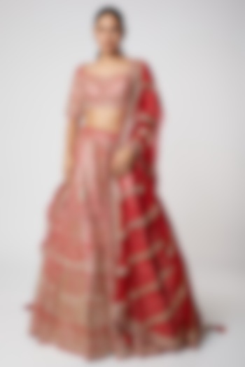 Red Embroidered Raw Silk Lehenga Set by Seema Gujral