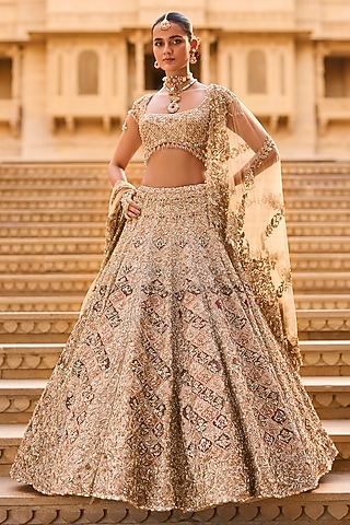 Light Gold Net Zardosi Embroidered Lehenga Set by Seema Gujral