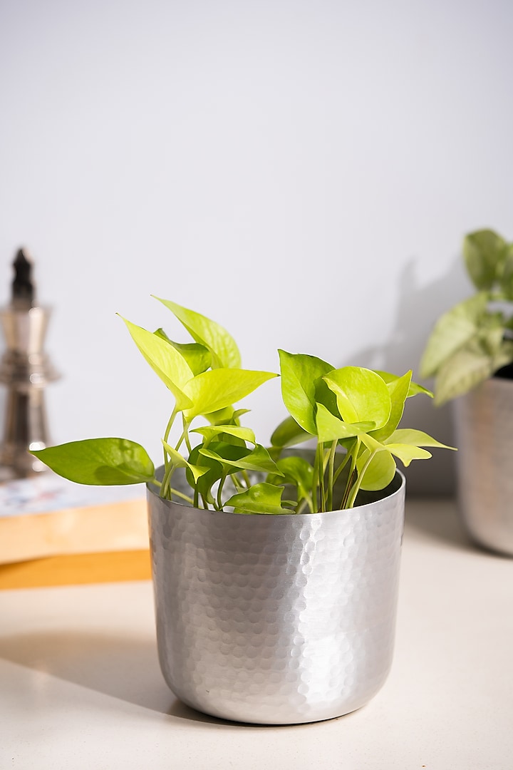 Silver Metal Planter by SG Home