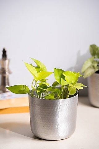 Silver Metal Planter by SG Home