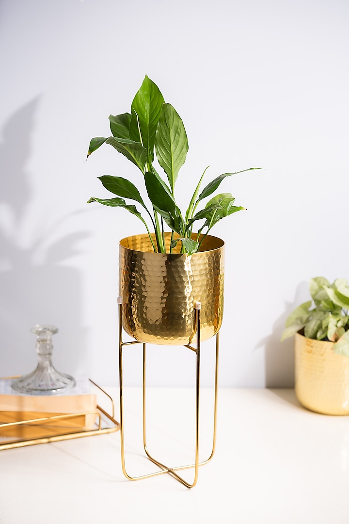 Golden Metal Planter by SG Home