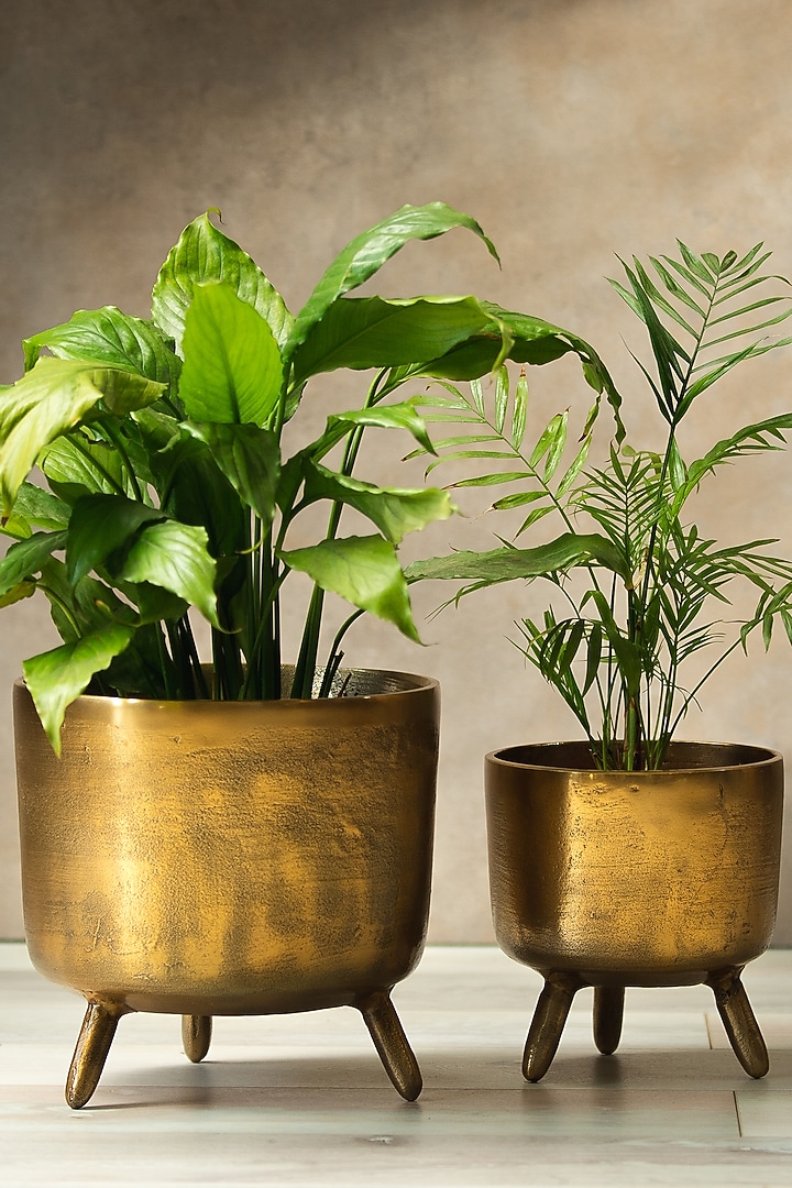 Rustic Gold Metal Handcrafted Planter by SG Home at Pernia's Pop Up Shop