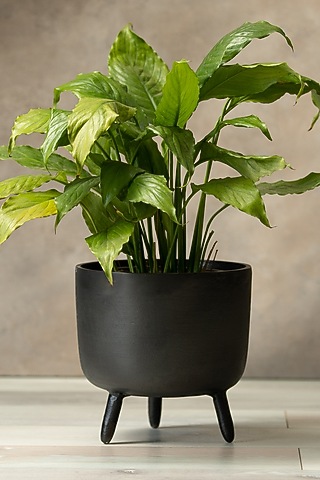 Rustic Black Metal Handcrafted Planter by SG Home
