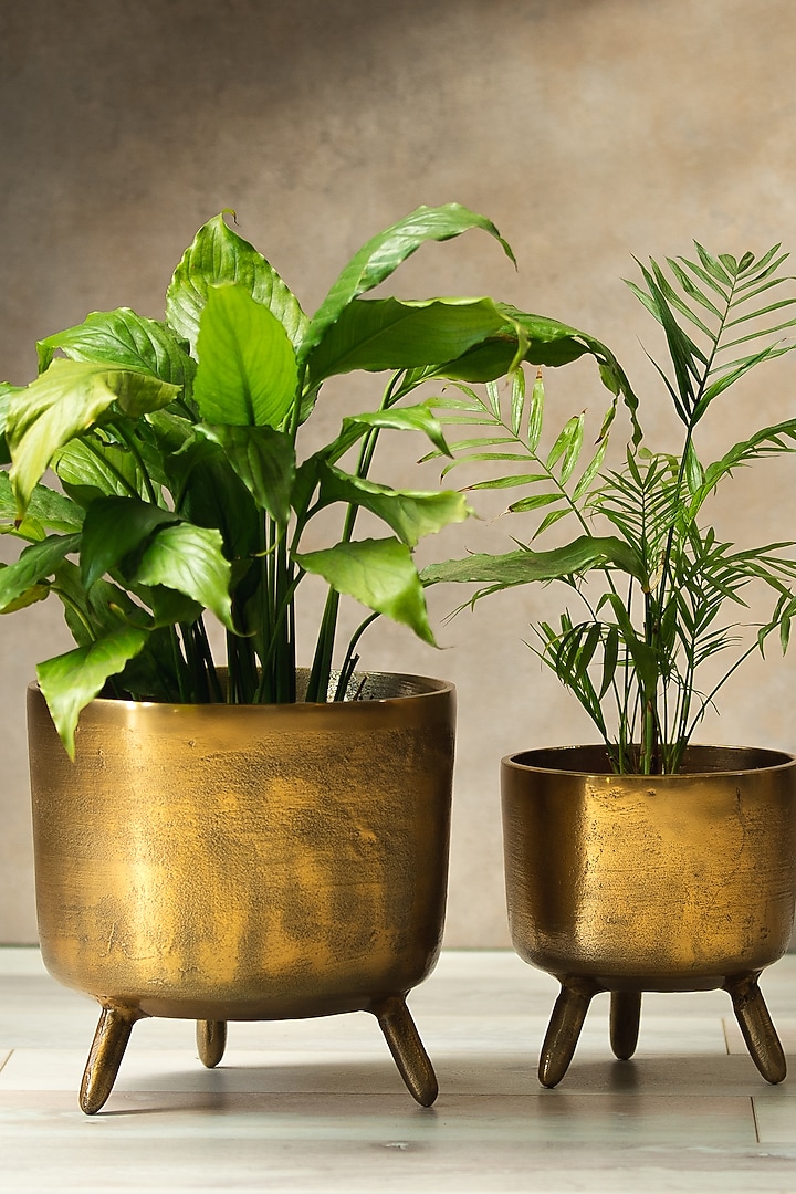 Rustic Gold Metal Handcrafted Planter by SG Home at Pernia's Pop Up Shop