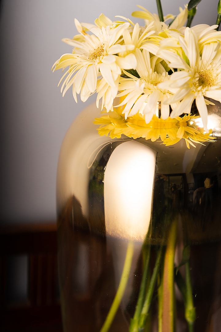 Metallic Gold & Clear Dual Curvy Glass Vase by SG Home at Pernia's Pop Up Shop