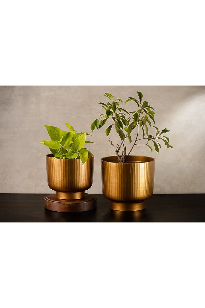Golden Fluted Planter by SG Home at Pernia's Pop Up Shop